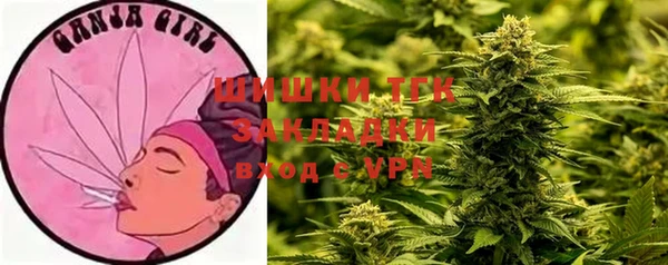 крисы Михайловск