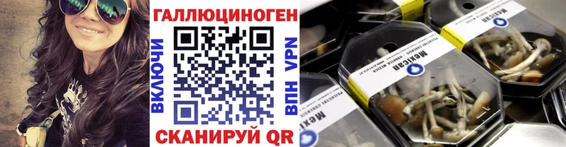 Галлюциногенные грибы GOLDEN TEACHER  Нестеровская 